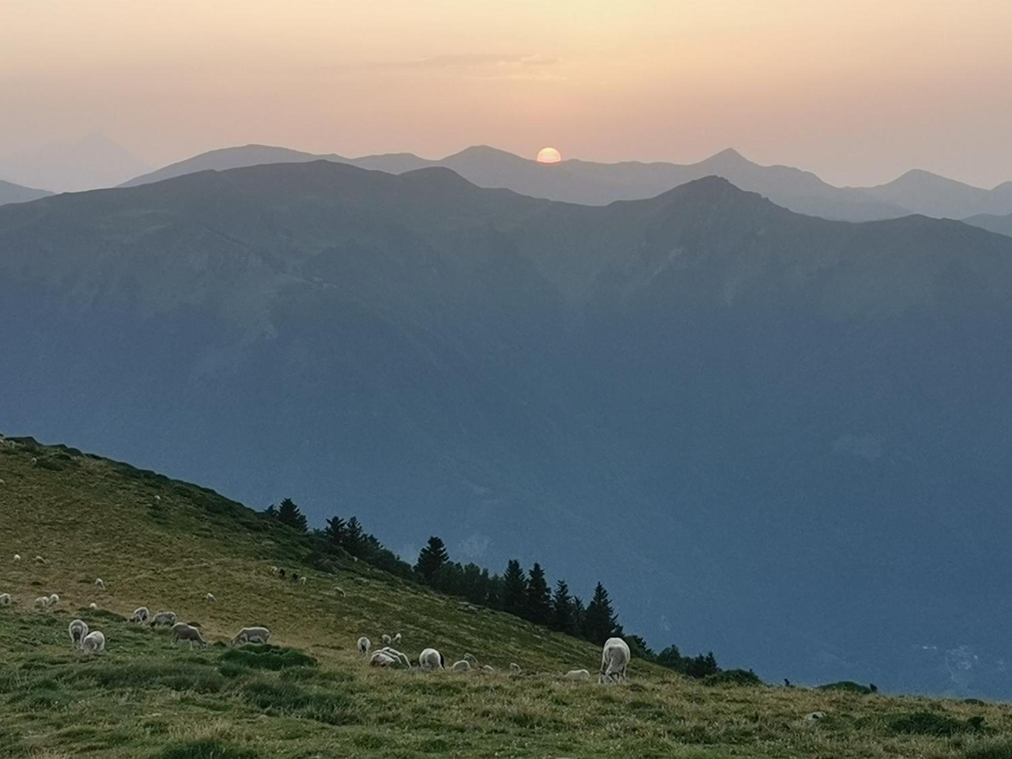 Maison 13 Pers A 10Mn De Luchon Cazaux-Layrisse Zewnętrze zdjęcie